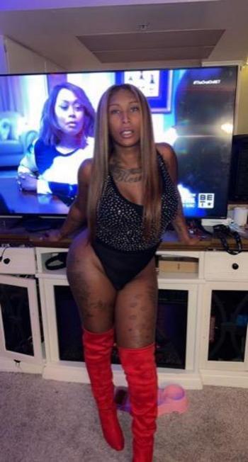 6265333452, transgender escort, San Fernando Valley